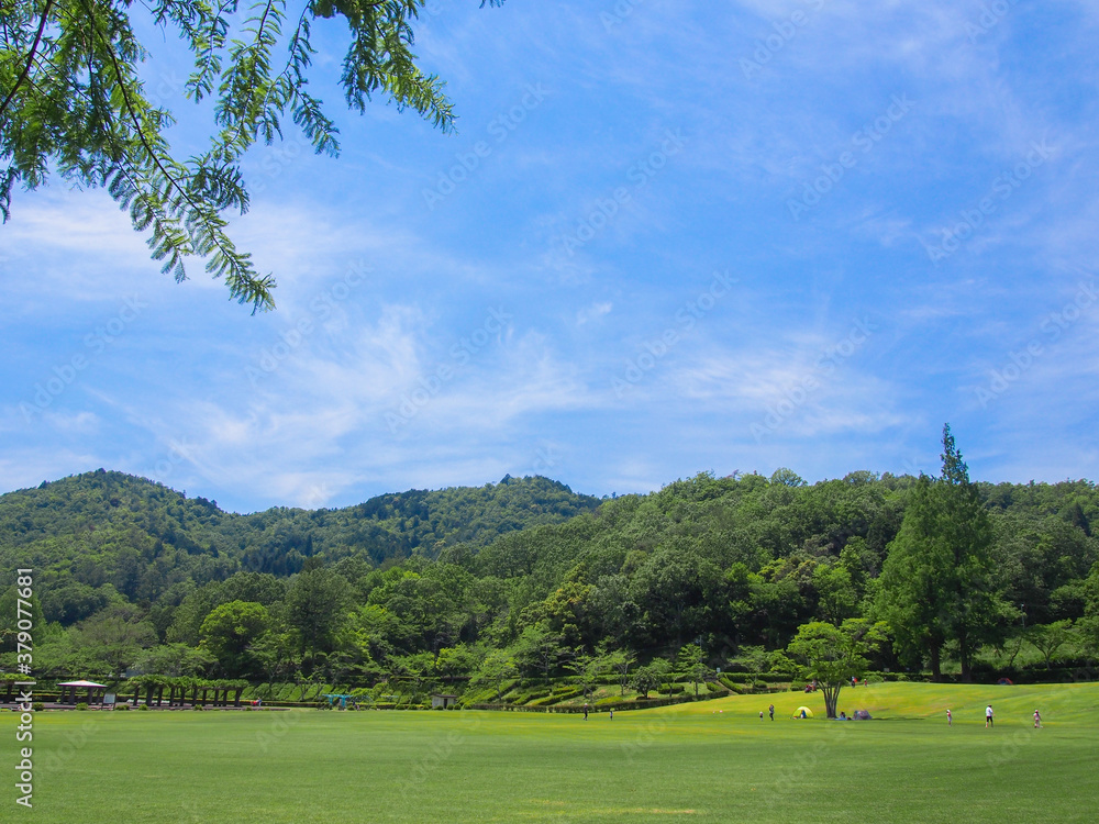 とてもきれいな岐阜の公園の青空と木々・芝生