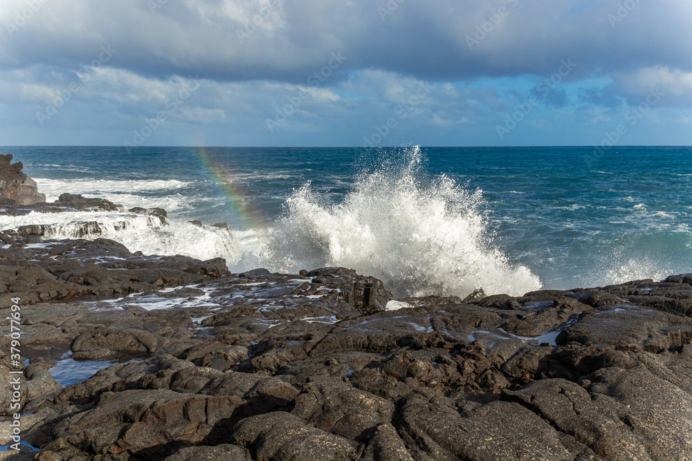 Big waves on the rocky coast. Hawaii