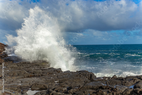 Big waves on the rocky coast. Hawaii