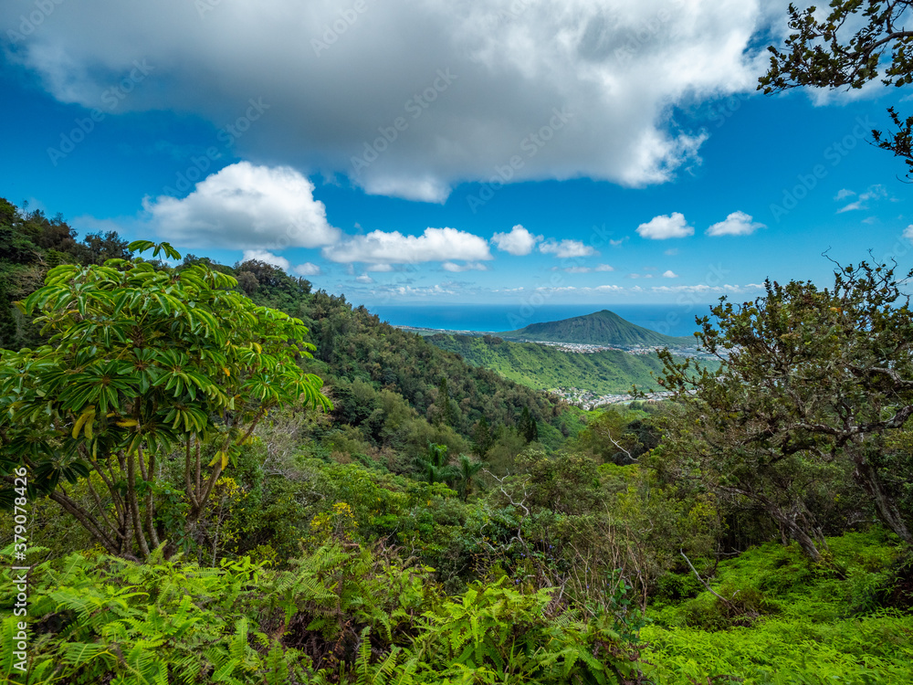 Blue sky over green mountains. Amazing view of the ocean.
Kuliouou Ridge Trail, Hawaii, Oahu Blue sky over green mountains. Amazing view of the ocean.
Kuliouou Ridge Trail, Hawaii, Oahu