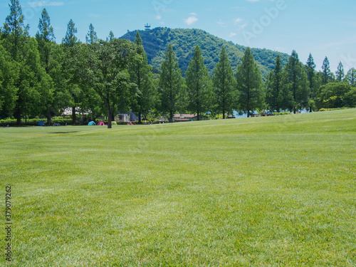 とてもきれいな岐阜の公園の青空と木々・芝生 © kanahina