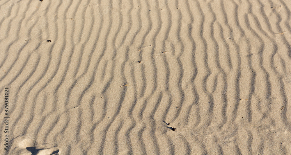 sand on the beach on the Polish sea