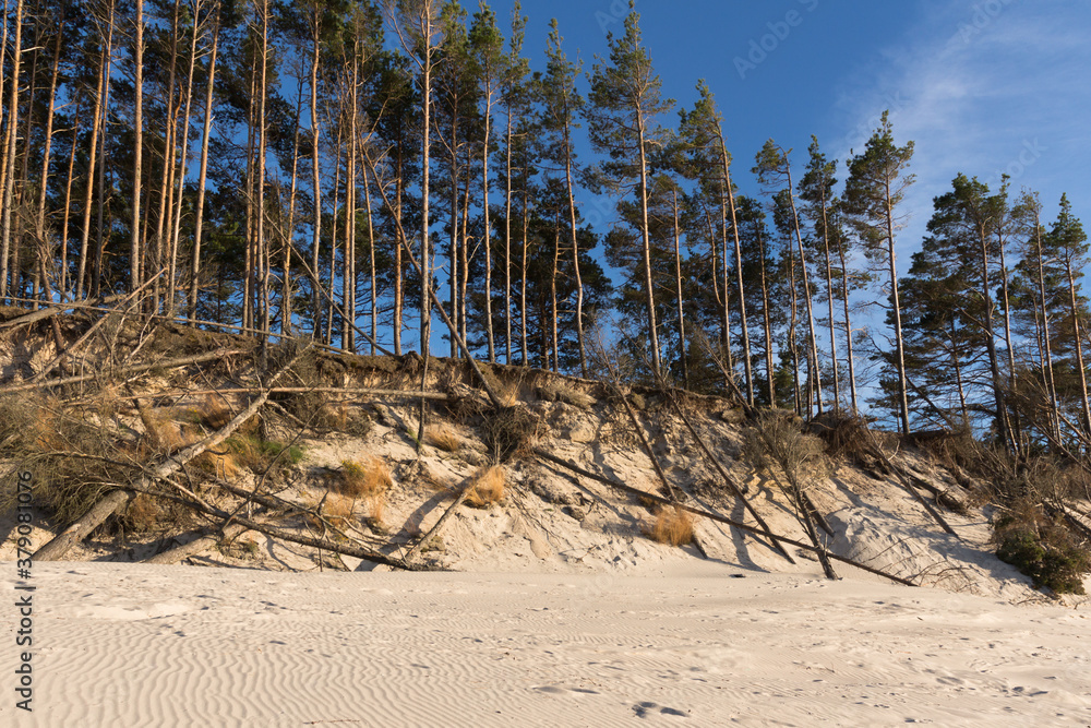 view on the coast on the Polish sea