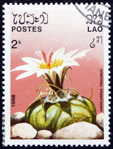 Postage stamp Laos 1986 ariocarpus trigonus, cactus photo