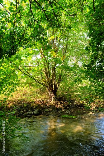 Sensitive natural space of the river in the French Gatinais regional nature park