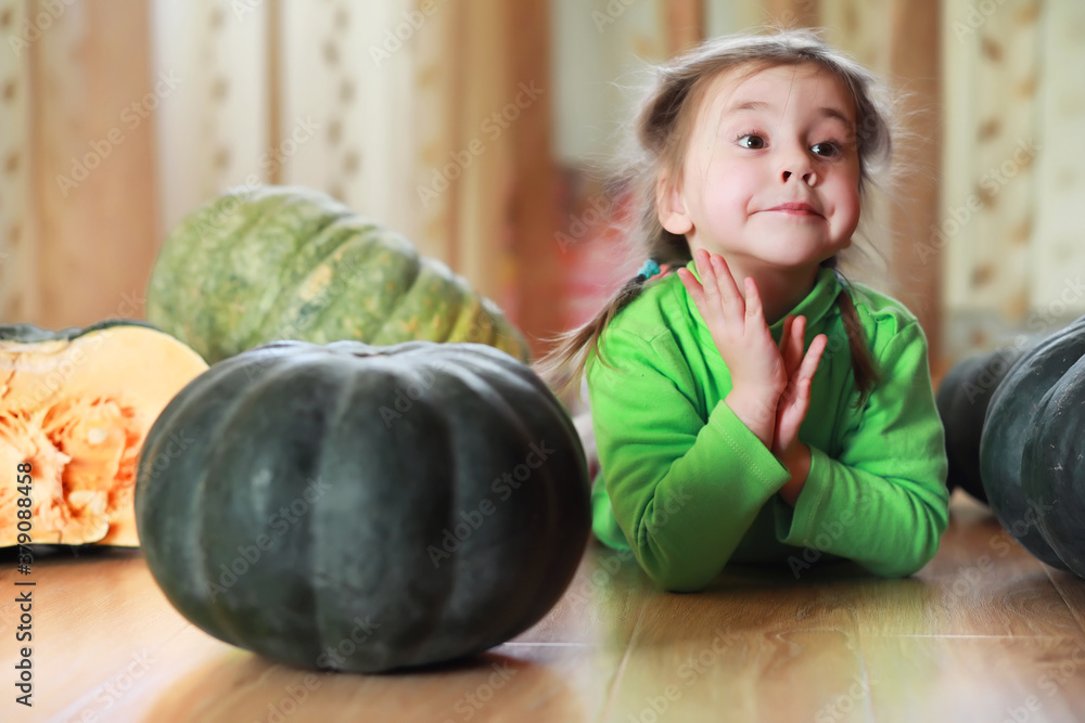 Fototapeta premium Little child choose a pumpkin at autumn. Child sitting on giant pumpkin. Pumpkin is traditional vegetable used on American holidays - Halloween and Thanksgiving Day.