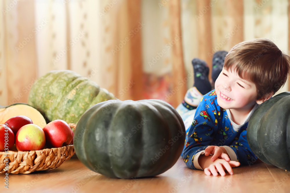 Fototapeta premium Little child choose a pumpkin at autumn. Child sitting on giant pumpkin. Pumpkin is traditional vegetable used on American holidays - Halloween and Thanksgiving Day.