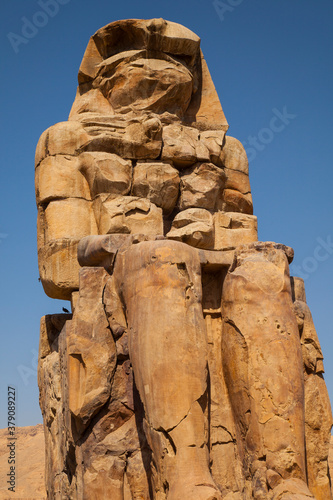 Colosos de Mennon, Luxor, Valle del Nilo, Egipto photo