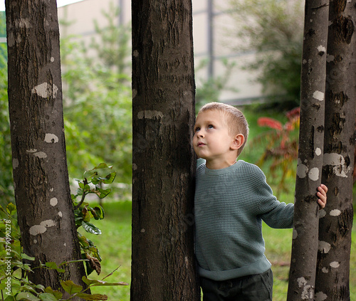 a little boy stands between the trunks of a tree