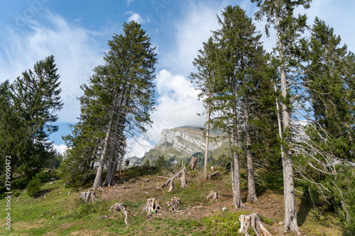 Schweiz Wildhauser Schafberg  photo