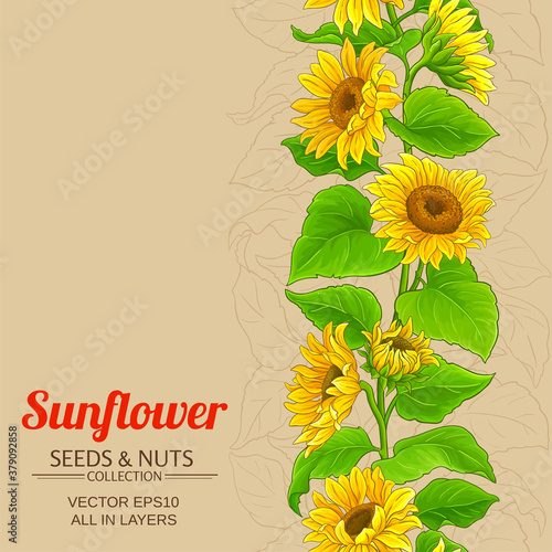 sunflower vector background