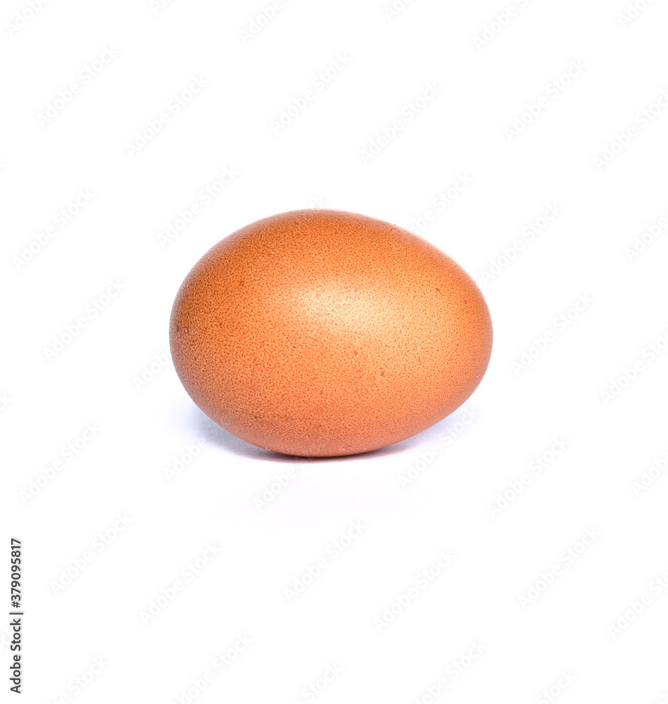 single chicken egg on white background single chicken egg on white background