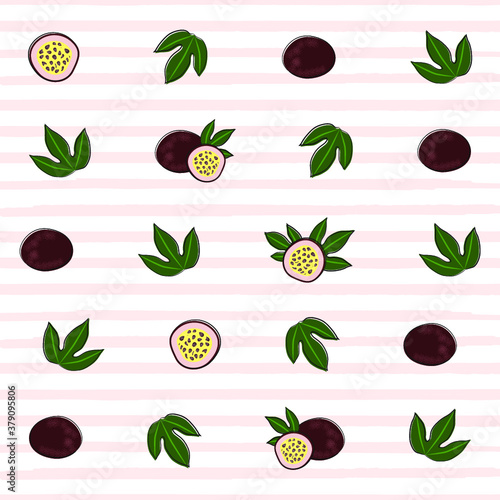 Vector gentle illustration background with lines of passion fruit and distas
