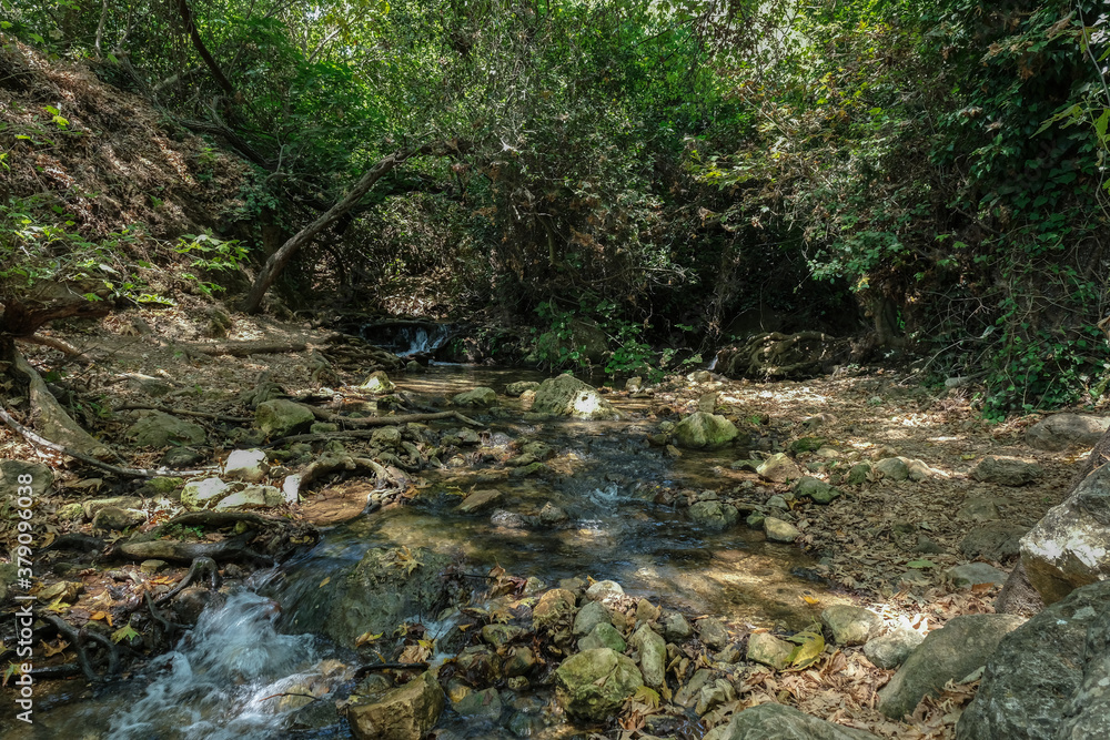 Nahal Amud (Amud Stream) in Nahal Amud Nature Reserve, the most beautiful all-year stream in Upper Galilee, Northern Israel, Israel. Nahal Amud (Amud Stream) in Nahal Amud Nature Reserve, the most beautiful all-year stream in Upper Galilee, Northern Israel, Israel.