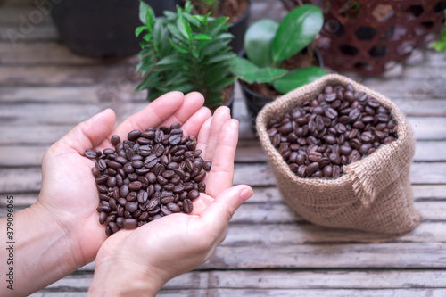 High angle view of hand holding freshly roasted coffee beans on bamboo litter with small ornamental plants at vintage coffee shop
