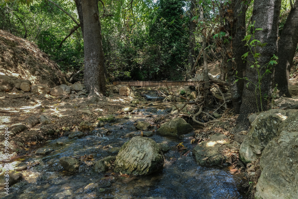 Nahal Amud (Amud Stream) in Nahal Amud Nature Reserve, the most beautiful all-year stream in Upper Galilee, Northern Israel, Israel. Nahal Amud (Amud Stream) in Nahal Amud Nature Reserve, the most beautiful all-year stream in Upper Galilee, Northern Israel, Israel.
