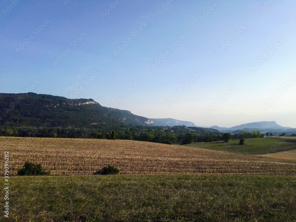 Fototapeta premium paysage 