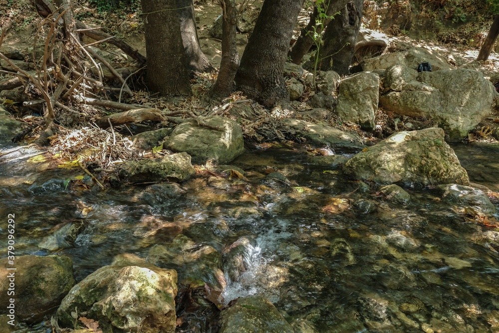 Nahal Amud (Amud Stream) in Nahal Amud Nature Reserve, the most beautiful all-year stream in Upper Galilee, Northern Israel, Israel. Nahal Amud (Amud Stream) in Nahal Amud Nature Reserve, the most beautiful all-year stream in Upper Galilee, Northern Israel, Israel.