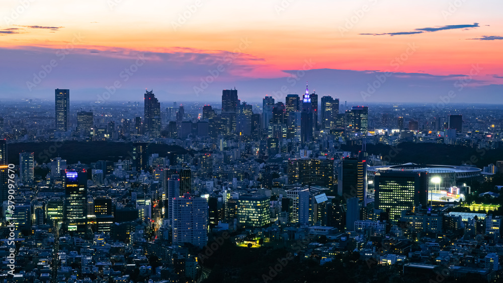 Obraz premium 六本木ヒルズから眺める東京の街並み 夕暮れ 新宿方面