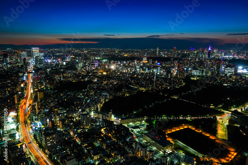 Wallpaper Mural 六本木ヒルズから眺める東京の街並み 夕暮れ 新宿方面 Torontodigital.ca