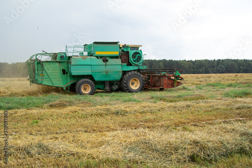 Green grain harvester removes wheat on the field. The harvester s reaper is close-up. Cleaning cereals from fields