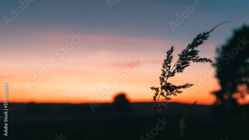 widok na zachód słońca w tleroślina