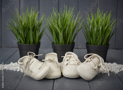 Close-up of white newborn shoes with laces  placed one on top of the other  on gray wooden background and three green plants