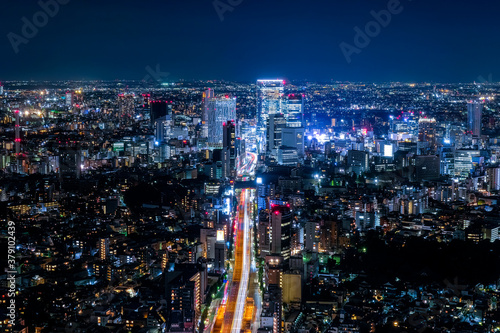 Wallpaper Mural 六本木ヒルズから眺める東京の夜景 渋谷方面 Torontodigital.ca