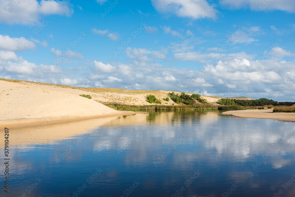 Fototapeta premium landscape of the coast in the south west of France
