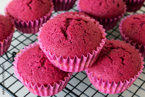 Delicious fun fuchsia colorful cupcakes