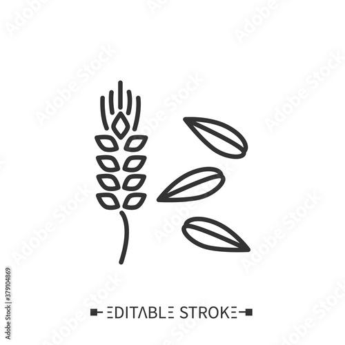 Barley line icon. Wheat ear and seeds. Organic healthy superfood for balanced nutrition. Detox and weight loss supplements. Vegetarian food. Isolated vector illustration. Editable stroke. 