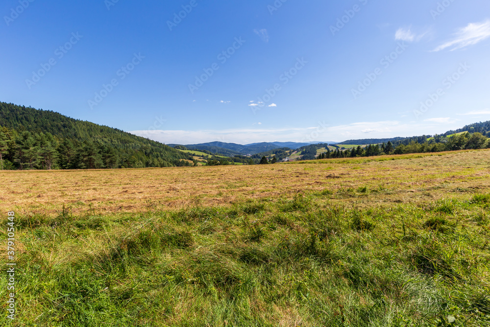 The mountain landscape of the Sadecki Beskids near Krynica Zdroj in Poland