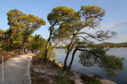 Walking path on the coast of the canal of St. Ante near Sibenik in Croatia