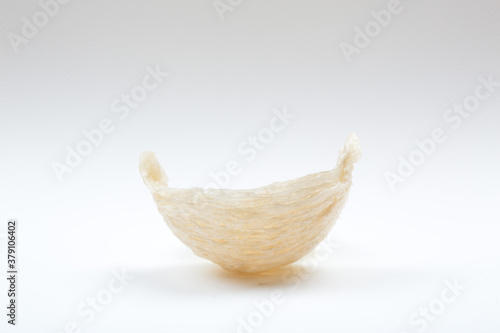 Fresh edible bird's nest on white paper