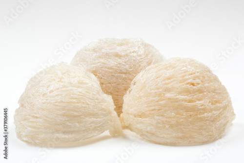Photography Fresh edible bird's nest on white paper
