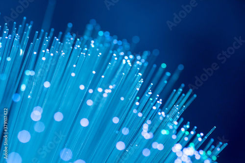 Close up on fiber optics - Shallow depth of field