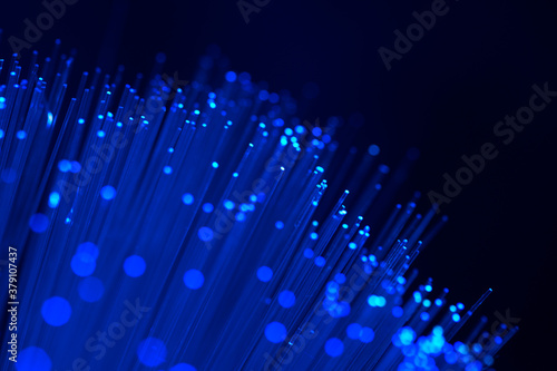 Close up on fiber optics - Shallow depth of field