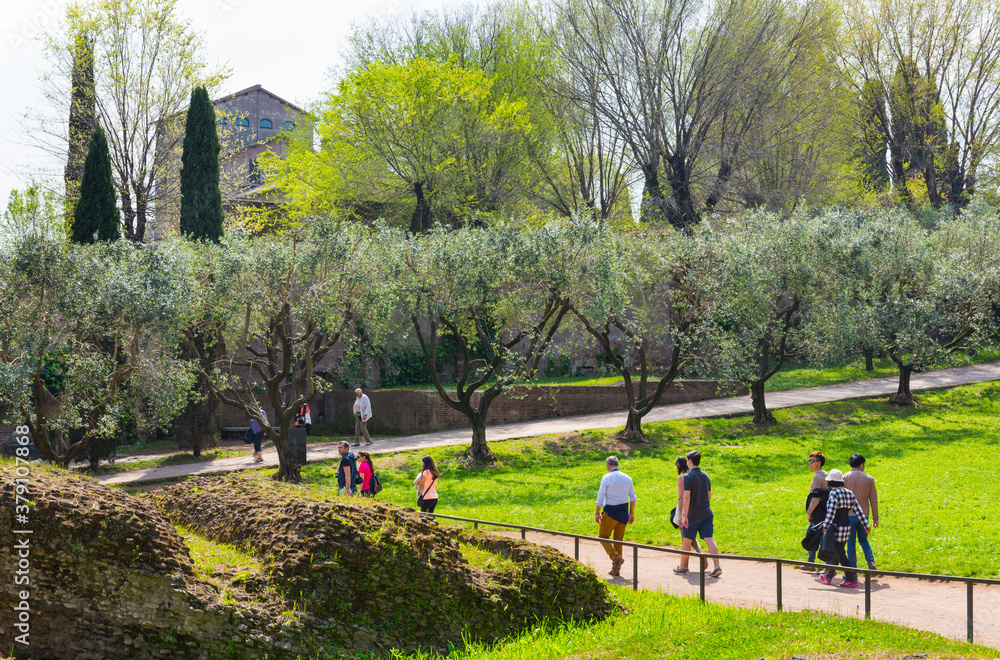 Palatine Hill, Roman Forum, Rome, Italy, Europe Palatine Hill, Roman Forum, Rome, Italy, Europe