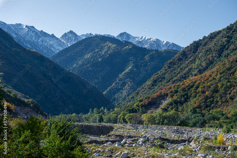 Fototapeta premium landscape in the mountains
