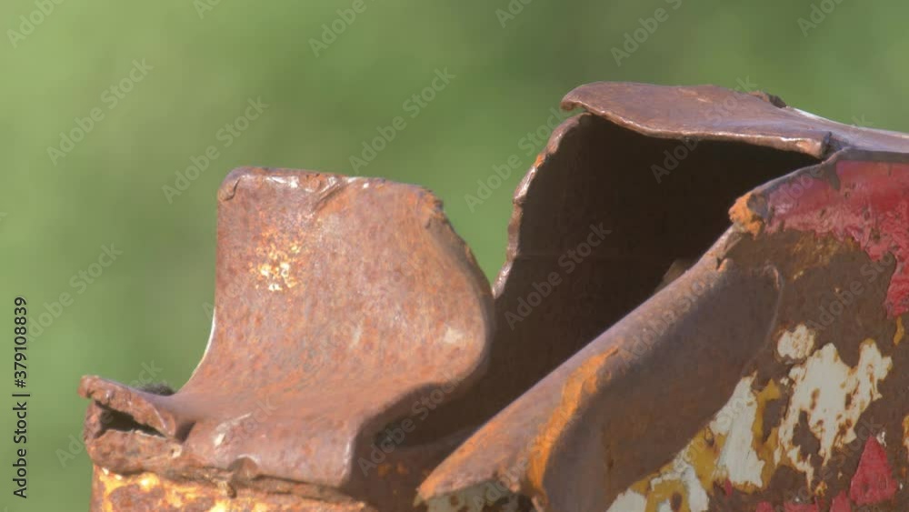 Black redstart female feeding, nest in metal gate,
Close up shot,mount Hermon, Israel
Black redstart female feeding, nest in metal gate,
Close up shot,mount Hermon, Israel