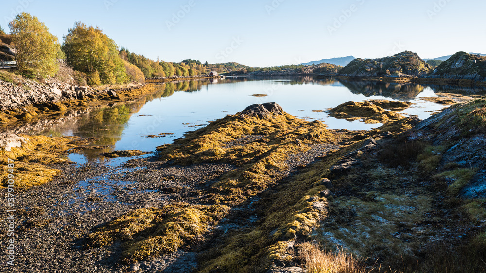 landscape lake with rocks in summer landscape lake with rocks in summer