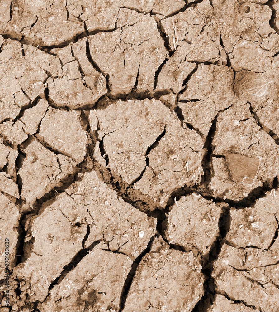 Fototapeta premium Dry River Bed