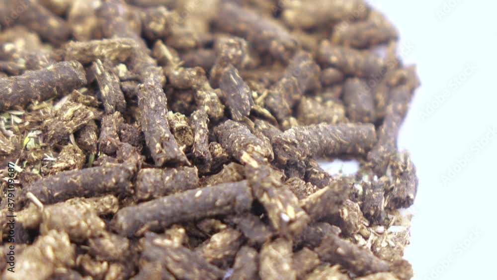 Ivan-tea is fermented Ivan-tea is fermented