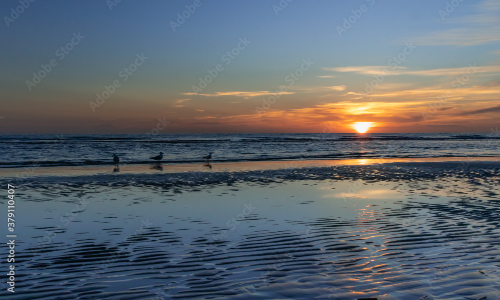 Zachód słońca na plaży w Egmond aan Zee, Holandia Północna.
