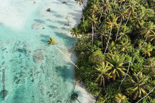 A drone shot from the beautiful nature of Mentawai islands, Sumatra, Indonesia. The combination of forest, palm trees, clear waters, reef corals and sand.  photo