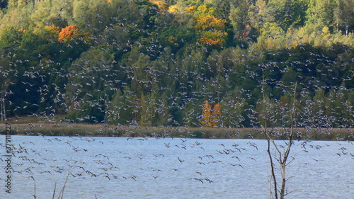 lake in autumn