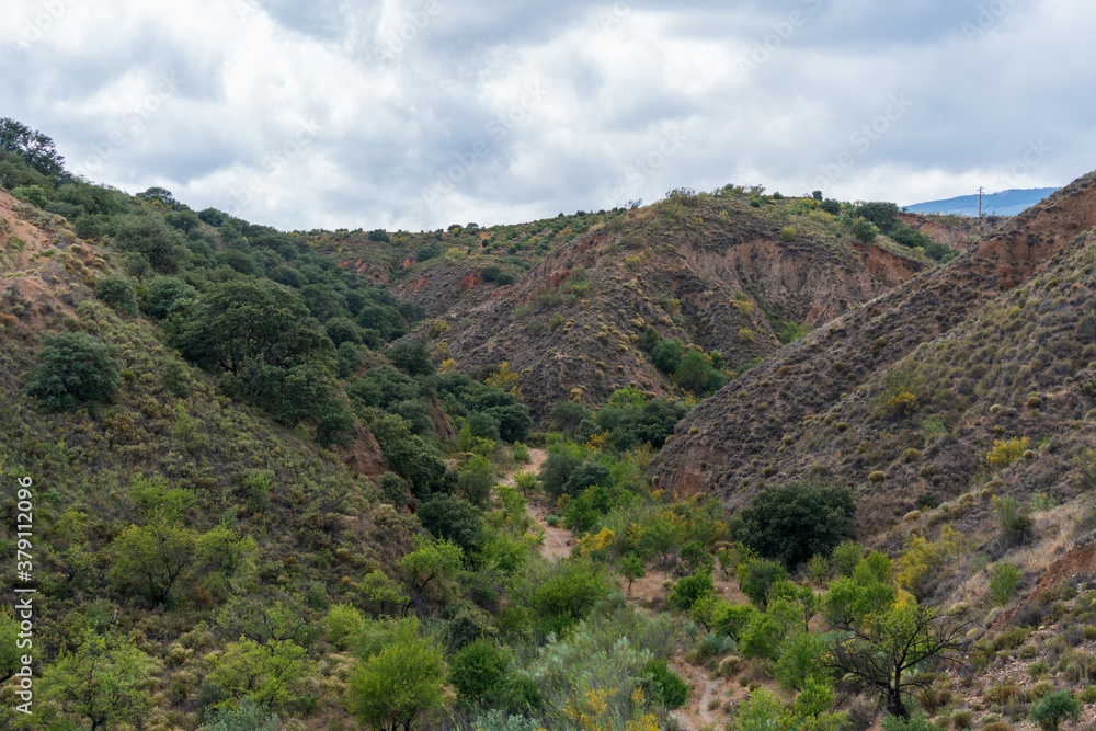 Naklejka premium Mountainous landscape with vegetation in southern Spain