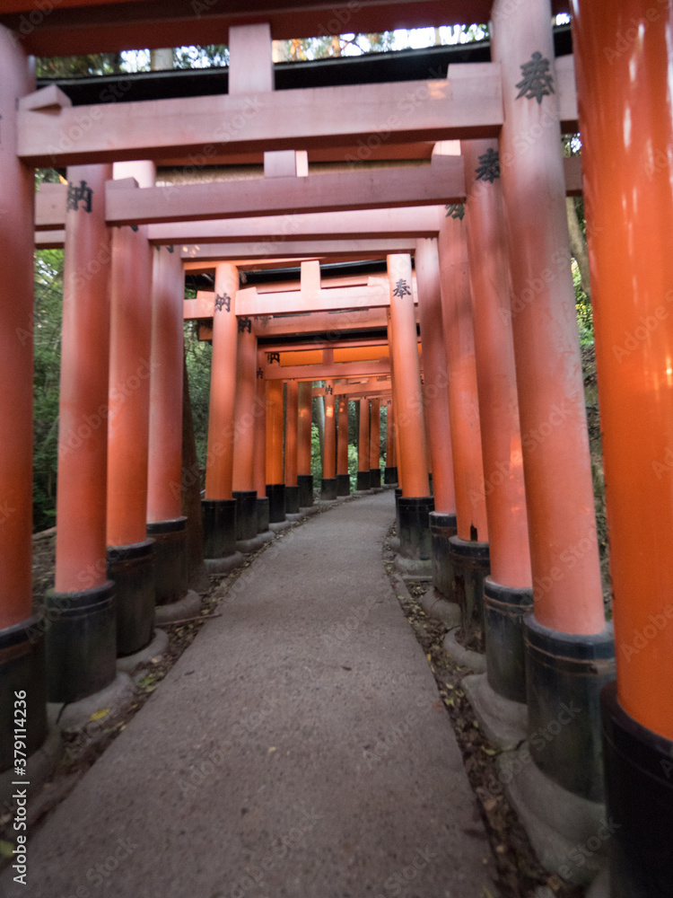 Santuario Fushimi Inari, en Kioto, Japón Santuario Fushimi Inari, en Kioto, Japón