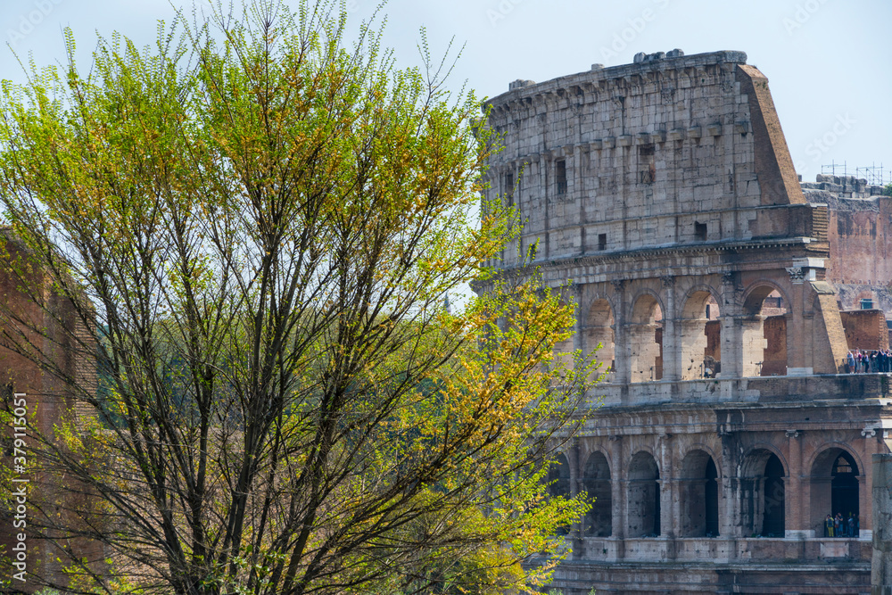 Obraz premium Colosseum from Palatine Hill, Roman Forum, Rome, Italy, Europe
