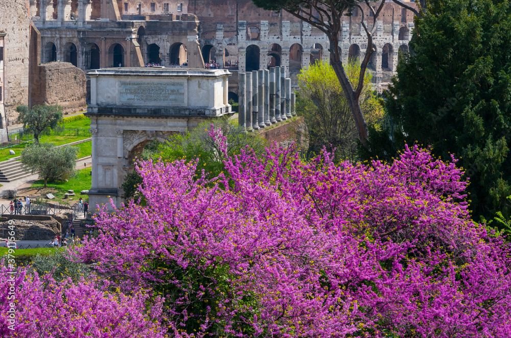 Obraz premium Palatine Hill, Roman Forum, Rome, Italy, Europe